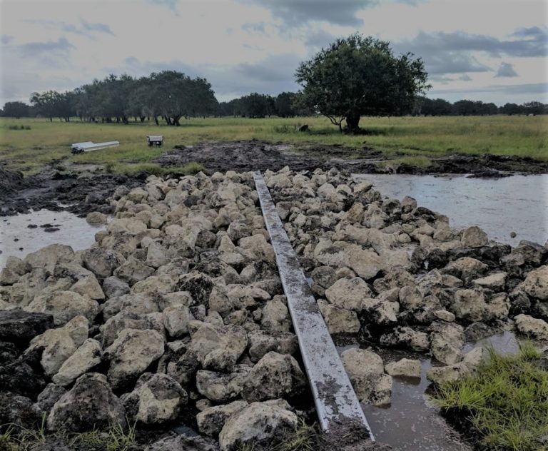 Tippen Bay Wetland Reserve Project Turnbull Environmental, Inc.